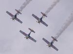 Flying Bulls Aerobatics Team