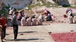 Ortahisar
