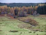 Highlands