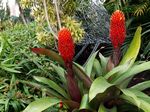 Glasgow Green - Peoples Palace & Winter Gardens
