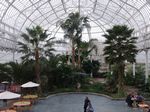 Glasgow Green - Peoples Palace & Winter Gardens