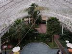 Glasgow Green - Peoples Palace & Winter Gardens
