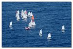 Optimistenregatta