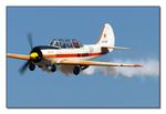 Smoke Wings 52 - Yakovlev Yak-52