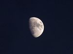 Mond - moon