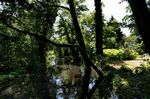 Schlosspark Sanssouci