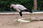 Tierpark Friedrichsfelde