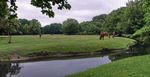 Tierpark Friedrichsfelde