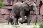 Tierpark Friedrichsfelde