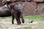 Tierpark Friedrichsfelde