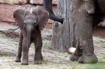 Tierpark Friedrichsfelde