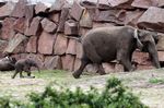 Tierpark Friedrichsfelde
