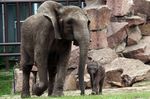 Tierpark Friedrichsfelde