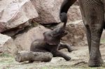 Tierpark Friedrichsfelde