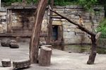 Tierpark Friedrichsfelde