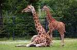Tierpark Friedrichsfelde