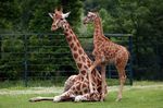 Tierpark Friedrichsfelde