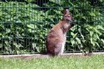 Tierpark Friedrichsfelde