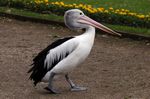 Tierpark Friedrichsfelde
