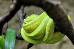 Tierpark Friedrichsfelde