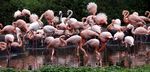 Tierpark Friedrichsfelde