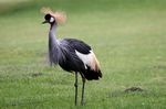 Tierpark Friedrichsfelde