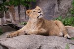 Tierpark Friedrichsfelde