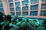 Aquadome