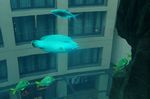Aquadome
