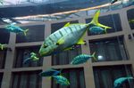 Aquadome
