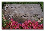 Friedhof Fluntern