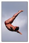 Diving Show