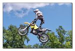 FMX - Zürifäscht