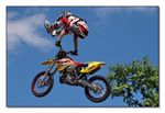 FMX - Zürifäscht