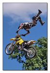 FMX - Zürifäscht