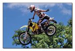 FMX - Zürifäscht