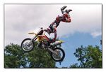 FMX - Zürifäscht