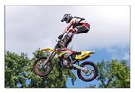 FMX - Zürifäscht