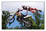 FMX - Zürifäscht