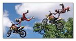 FMX - Zürifäscht