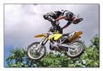 FMX - Zürifäscht