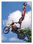 FMX - Zürifäscht