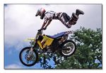 FMX - Zürifäscht