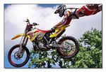 FMX - Zürifäscht