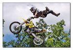 FMX - Zürifäscht