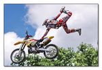 FMX - Zürifäscht