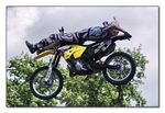 FMX - Zürifäscht