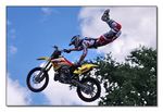 FMX - Zürifäscht