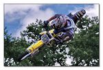 FMX - Zürifäscht
