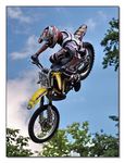 FMX - Zürifäscht